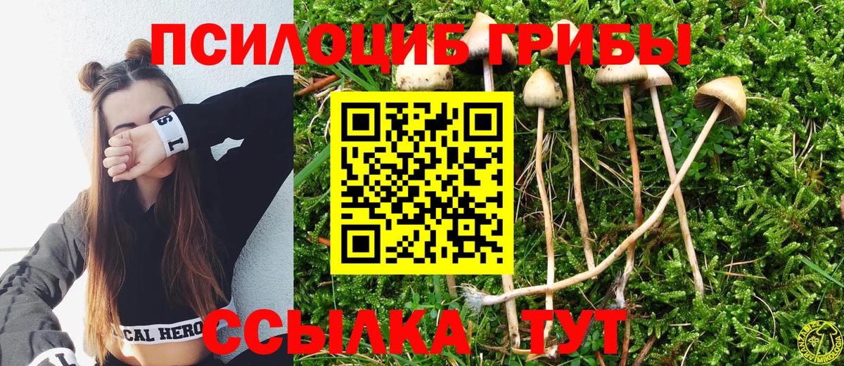 Галлюциногенные грибы мицелий  Вход с VPN  хочу наркоту  Донецк 