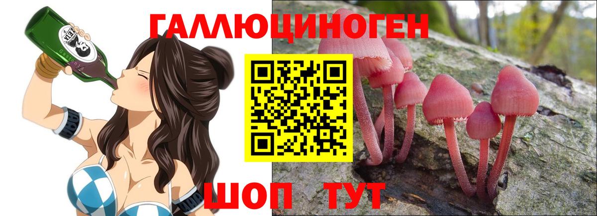 Галлюциногенные грибы GOLDEN TEACHER Донецк